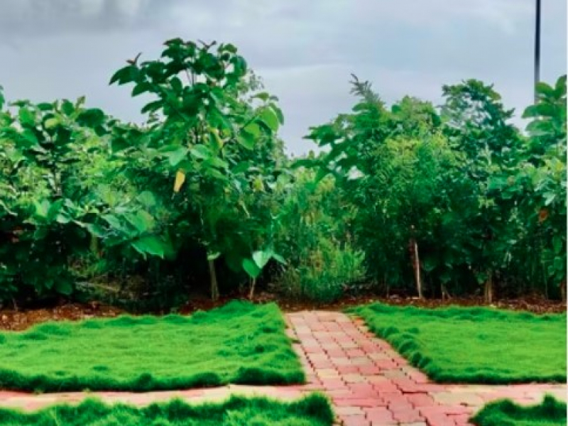 Preethi Velammal Garden