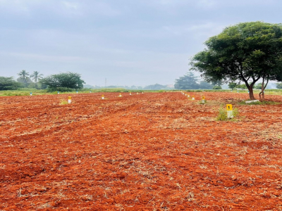 Plots for sale in AIIMS Meenakshi Gardens, Thiruparankundram