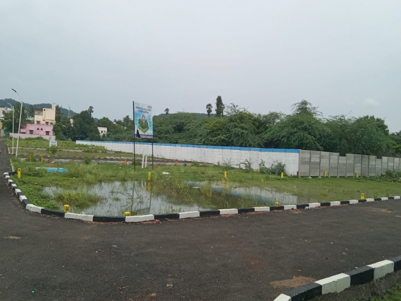 Vamanan Platinum City