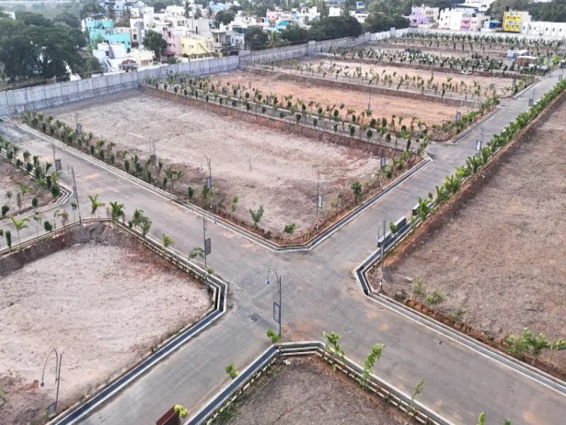 View 1