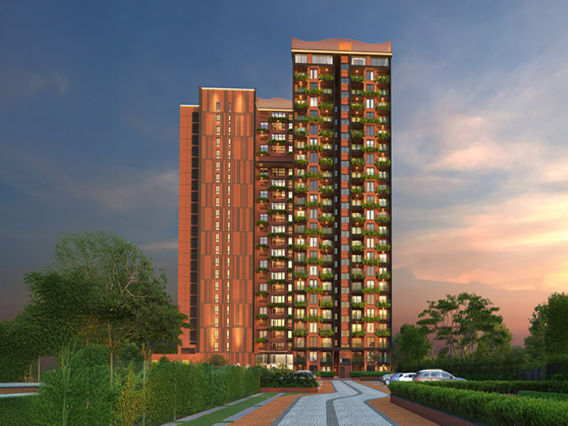 CoEvolve Misty Shores