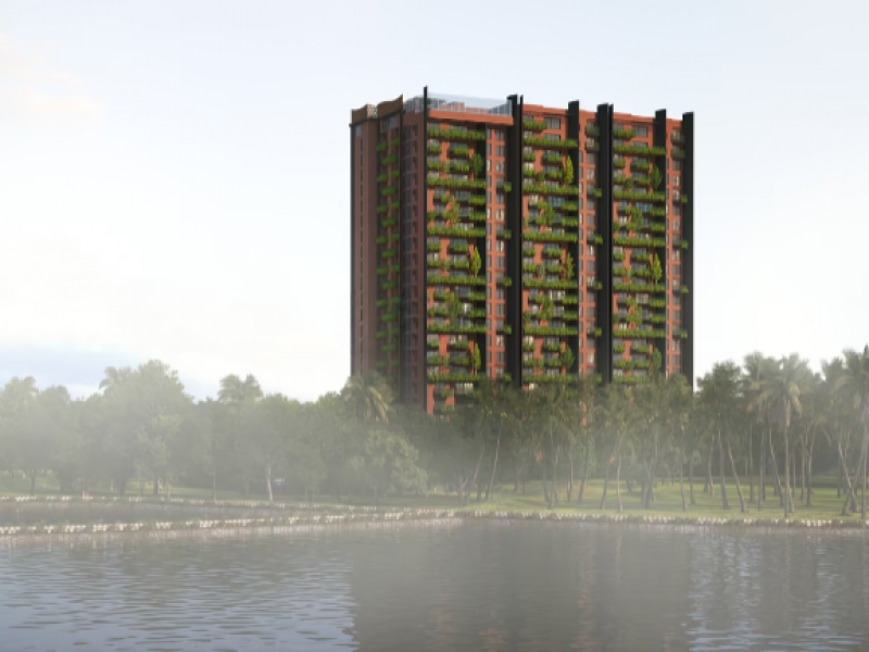 CoEvolve Misty Shores