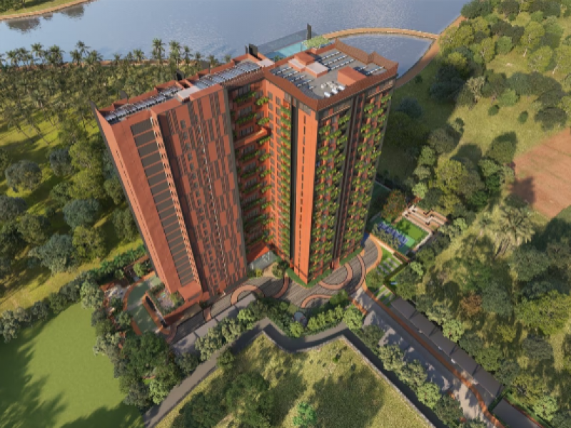 CoEvolve Misty Shores