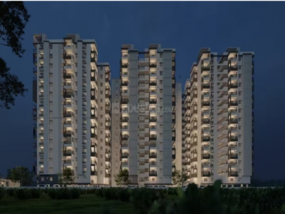 Riddhi Taranto
