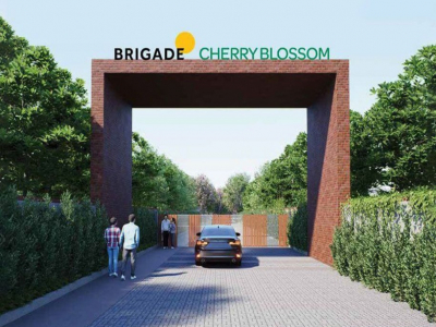 Brigade Cherry Blossom