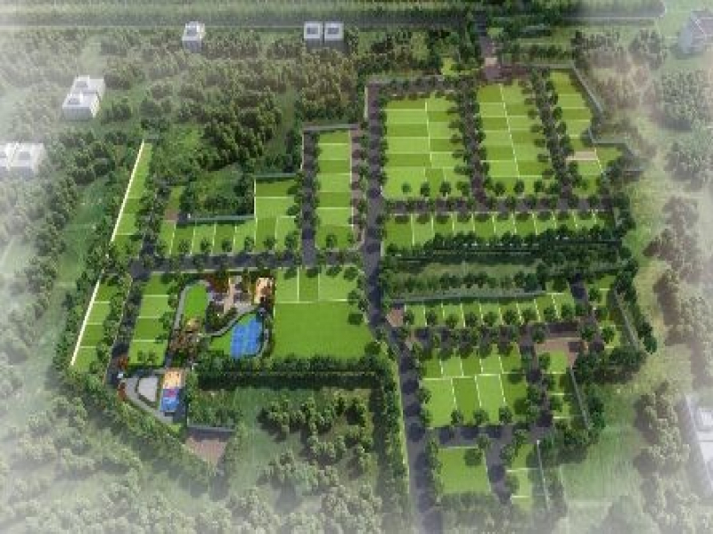 Divyasree Whispers Of The Wind