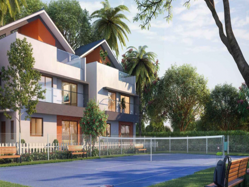 NVT Symphony of Orchards