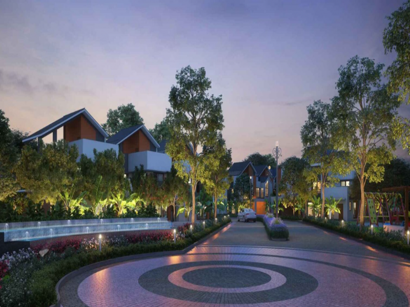 NVT Symphony of Orchards