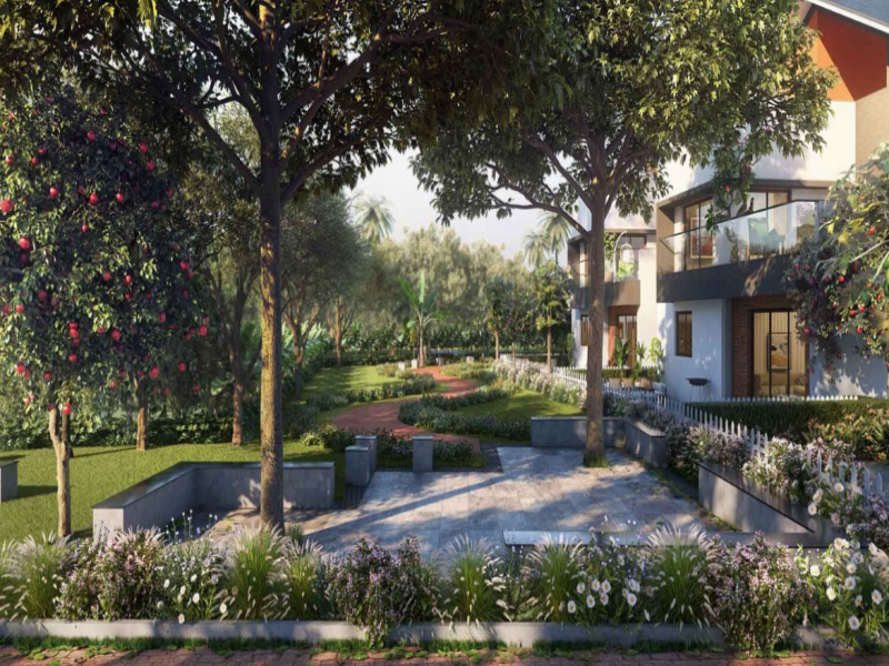 NVT Symphony of Orchards