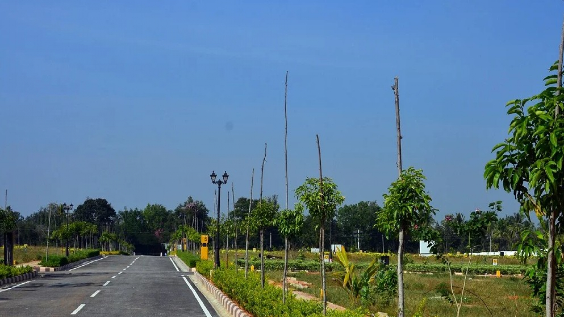 Sobha Chartered Birdsong