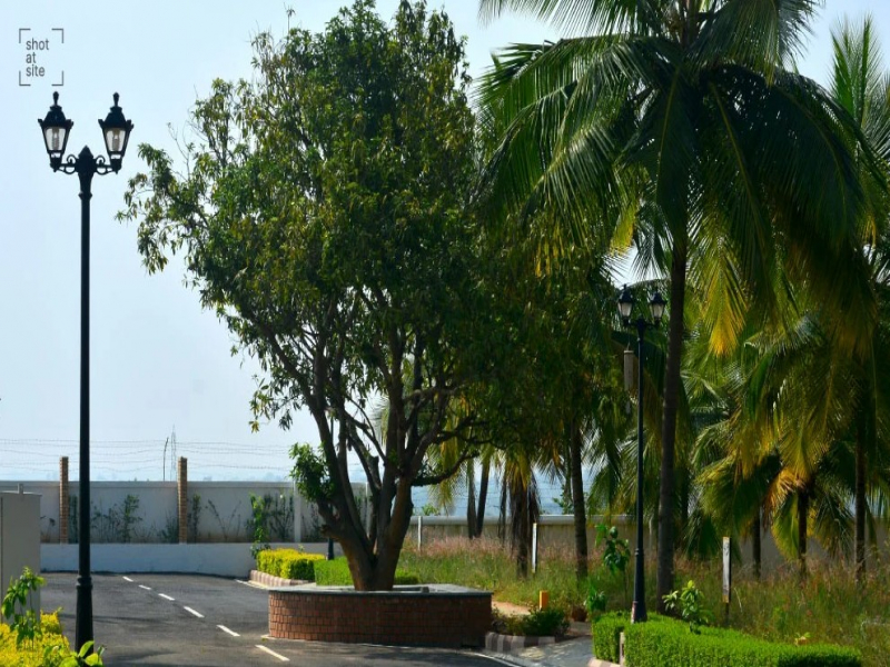 Sobha Chartered Birdsong