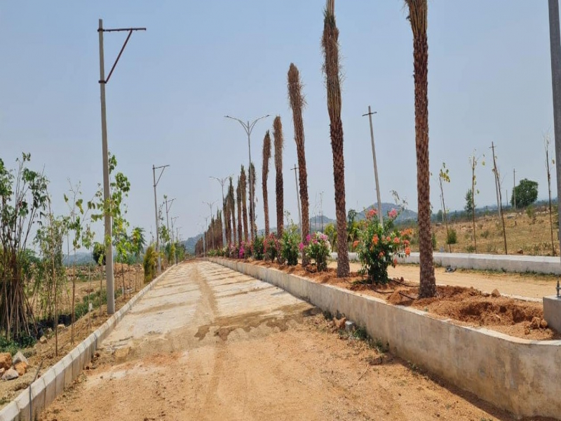 Kaku Mahateja Hill View