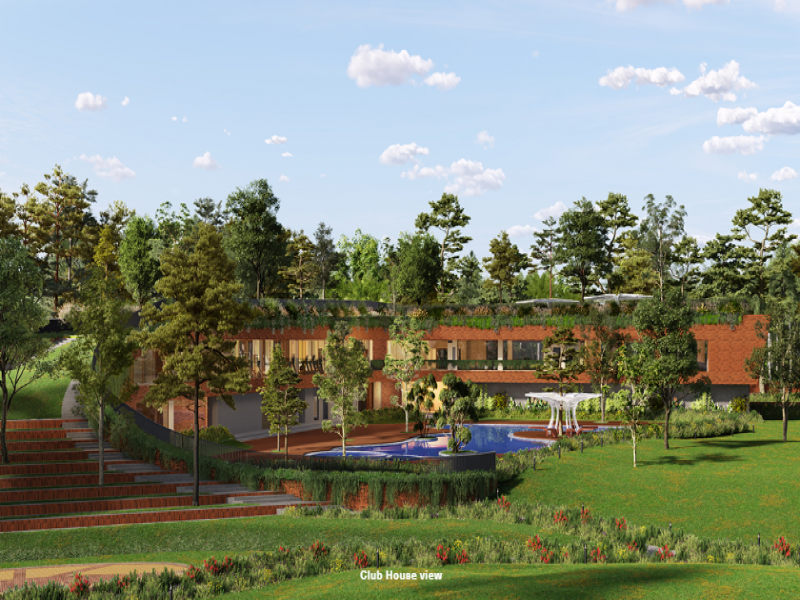 Total Environment Down By The Water