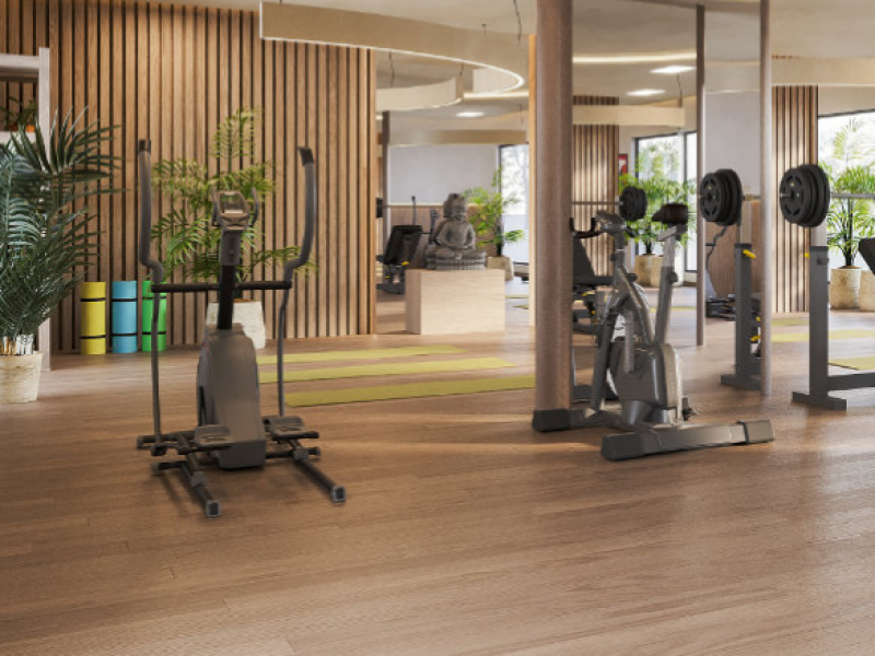 Ramaniyam Sai Aranya