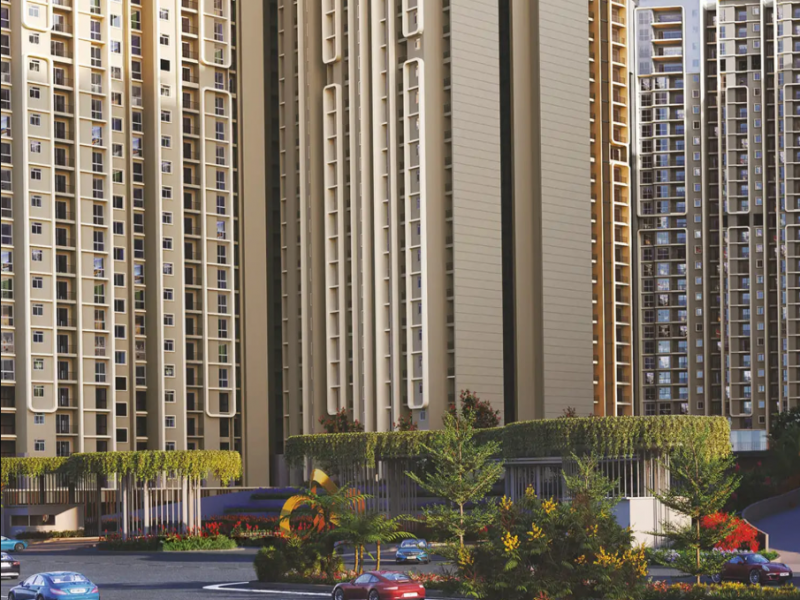 Purva Northern Lights