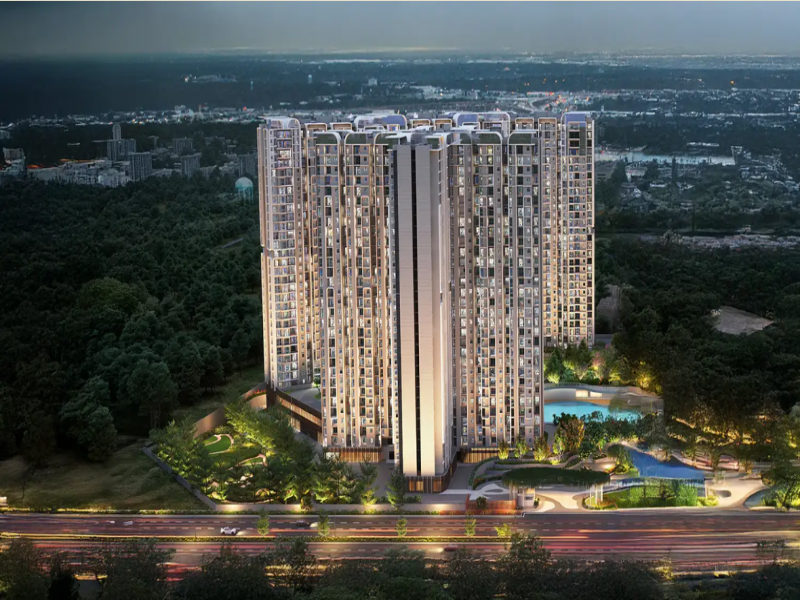 Purva Northern Lights