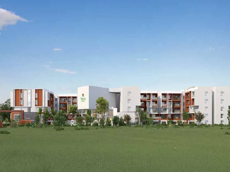 Vajram Chrysanthemum