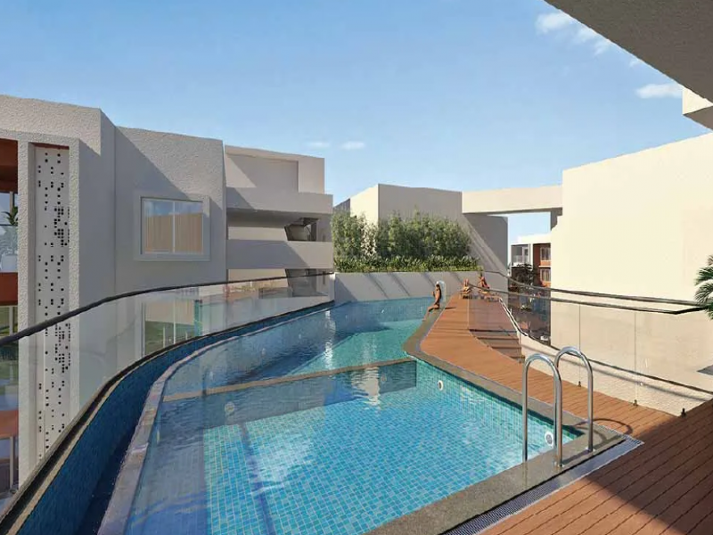 Vajram Chrysanthemum