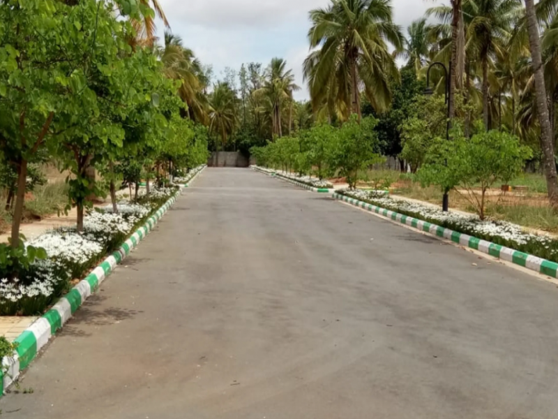 Chartered Birdsong