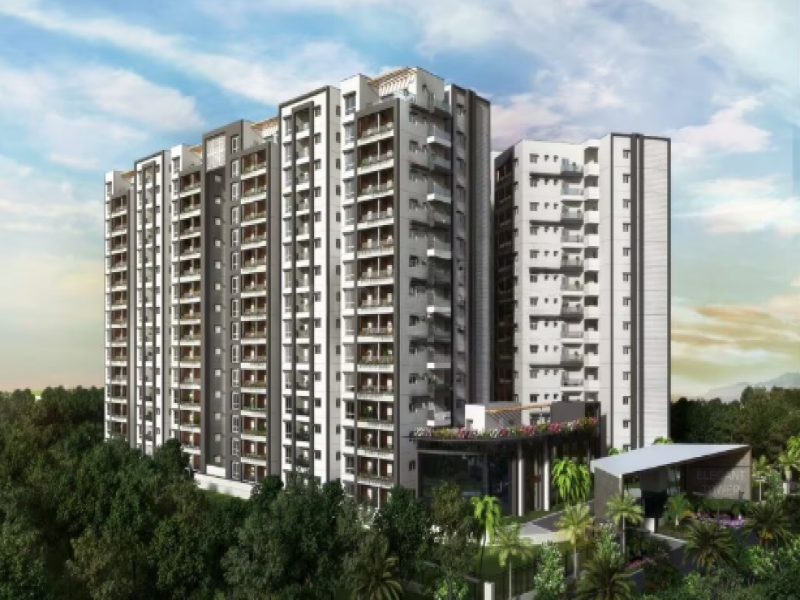 Elegant Takt Tropical Symphony