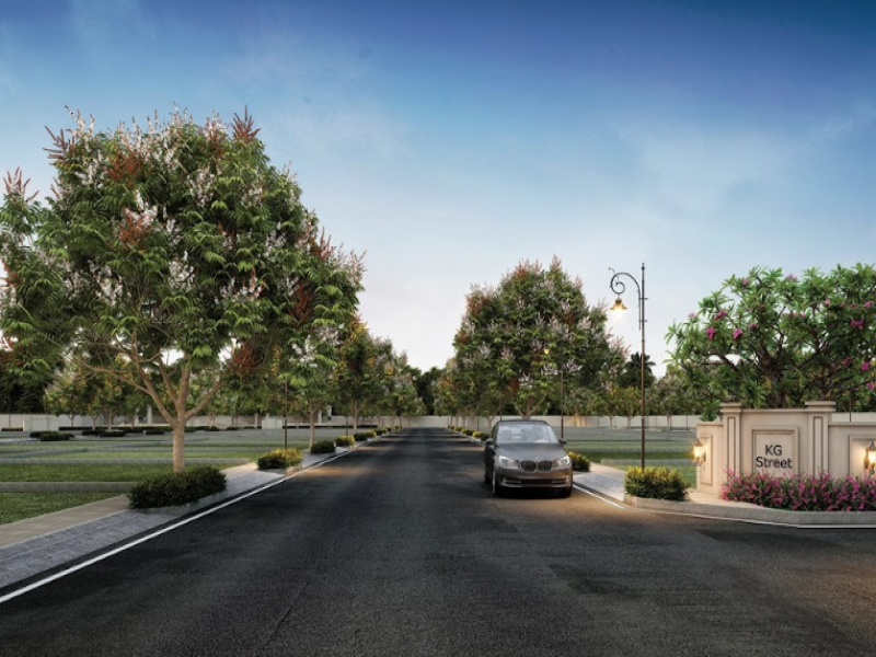 KG Kingdom Of Prosperity