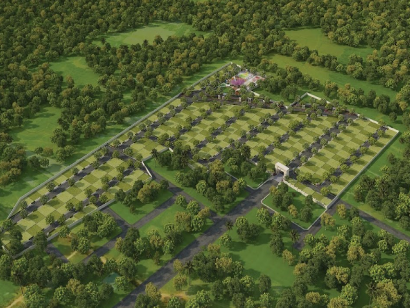 KG Kingdom Of Prosperity