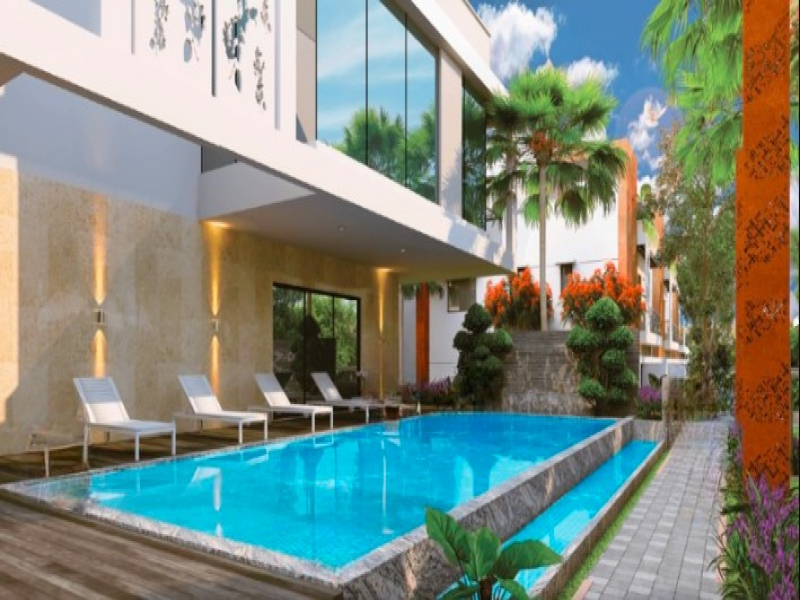 Vertex Bougainvillea