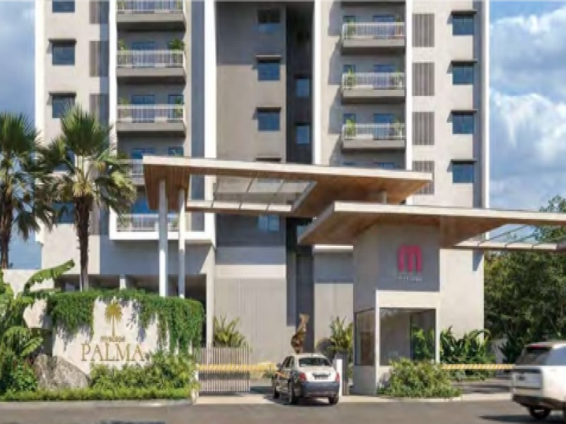 Myscape Palma