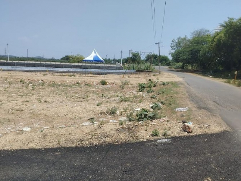 MCP Krishna Avenue