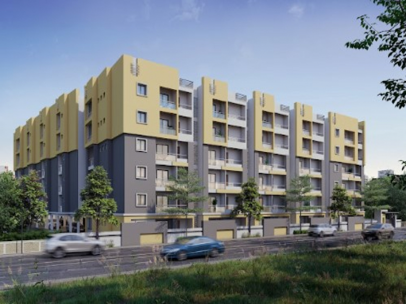 Infocity Eyrie