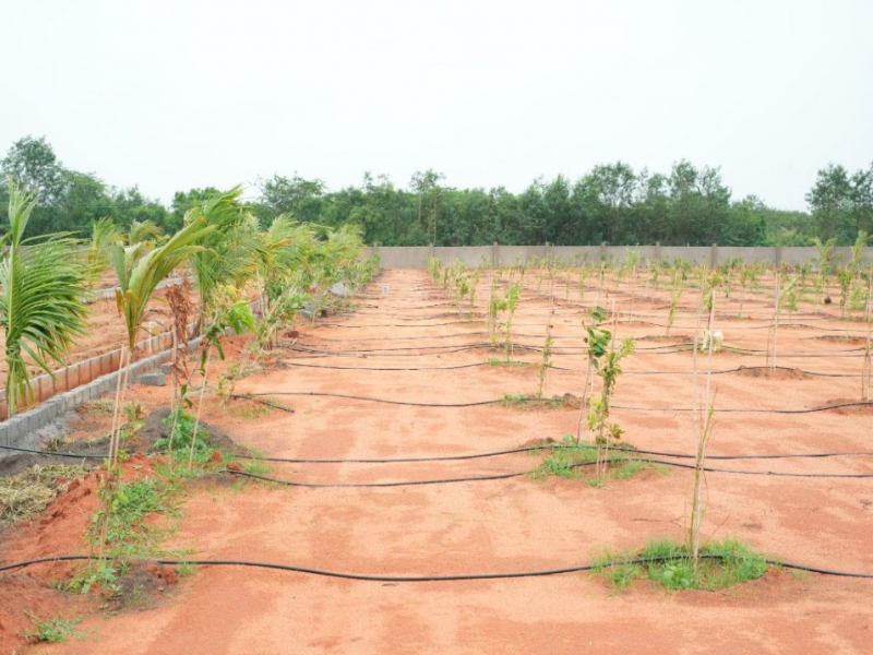 Adrustar Mahalakshmi S Nandanam