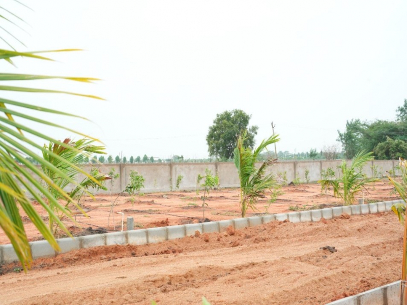 Adrustar Mahalakshmi S Nandanam