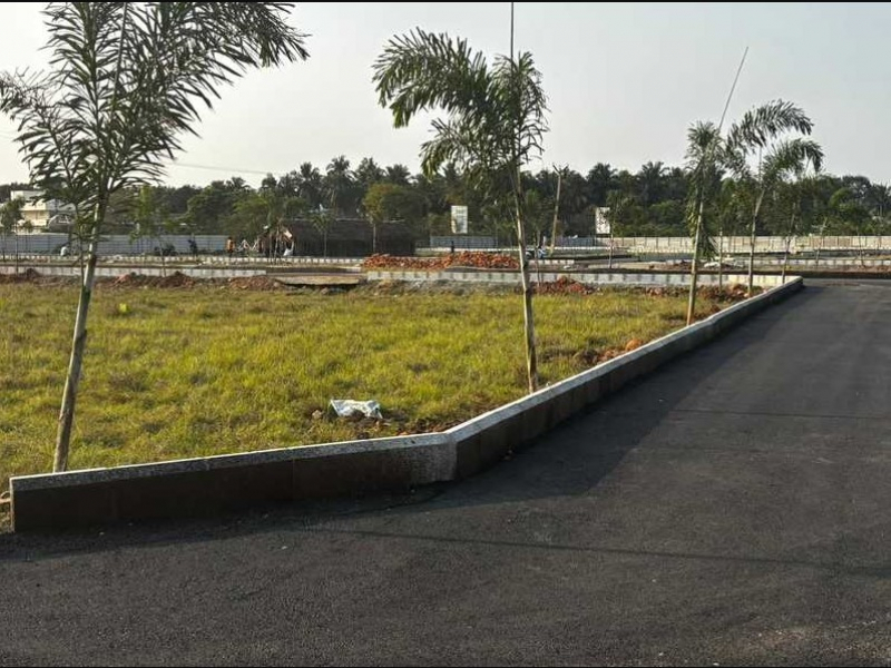 Real Homes Golden City