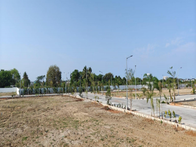 Gemini Gardens
