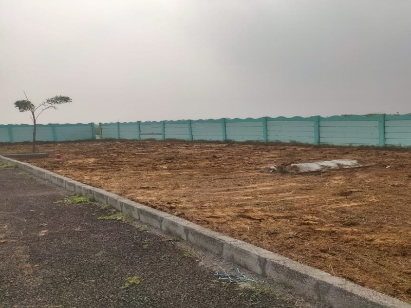 SS Garden