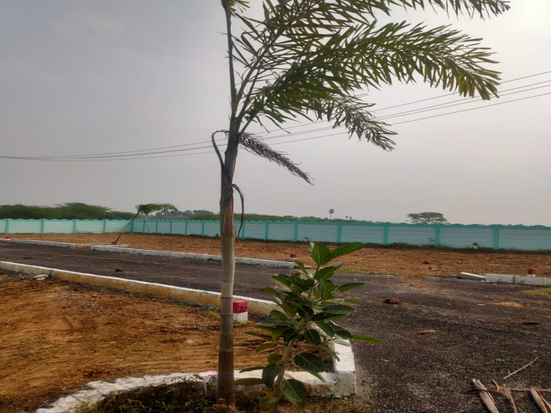 SS Garden