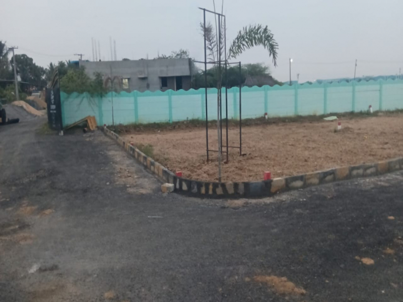 SS Garden