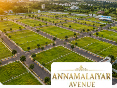 Annamalaiyar Avenue