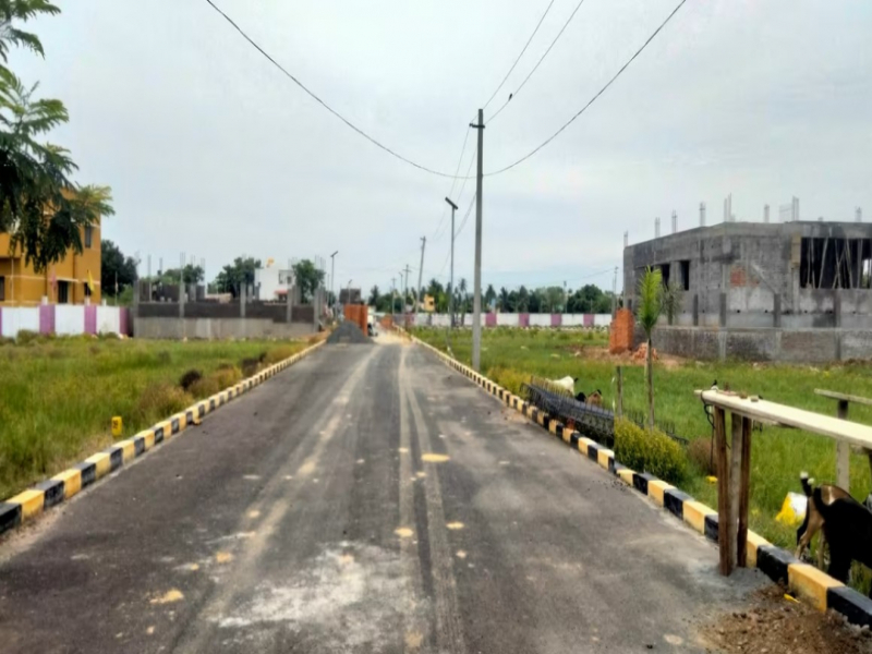 View 1