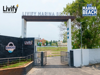 Livify Marina Beach
