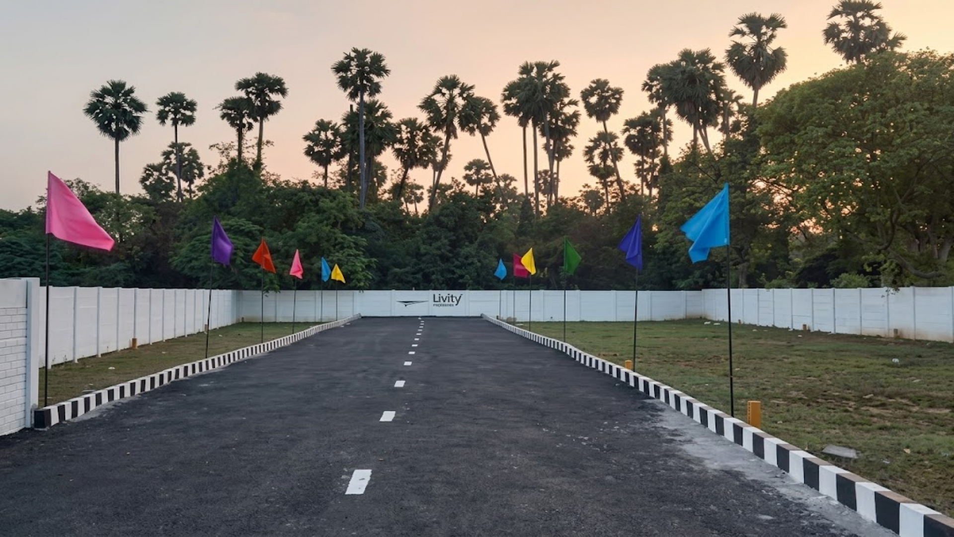 Livify Sunrise