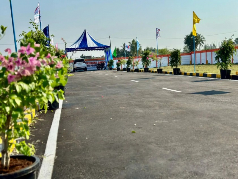 View 1