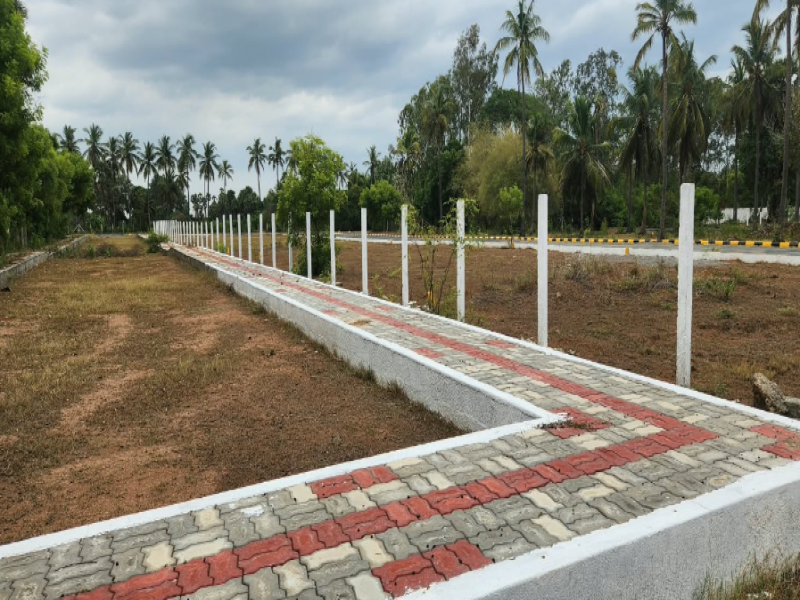 View 1