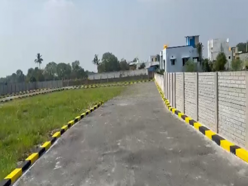 View 1