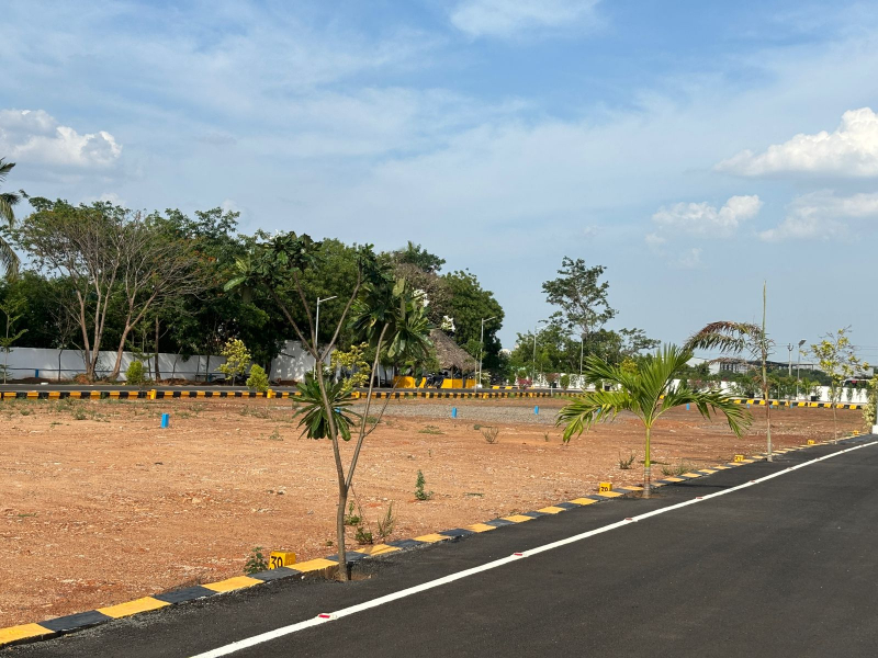View 1