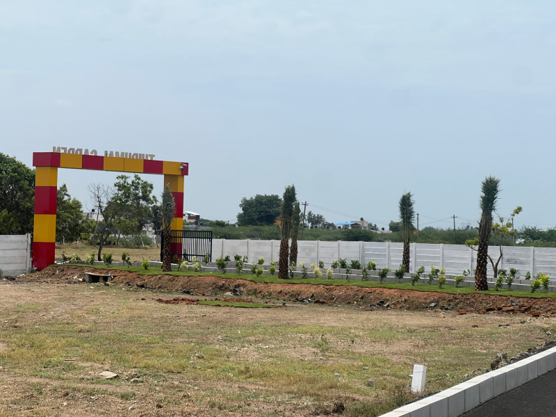 View 1
