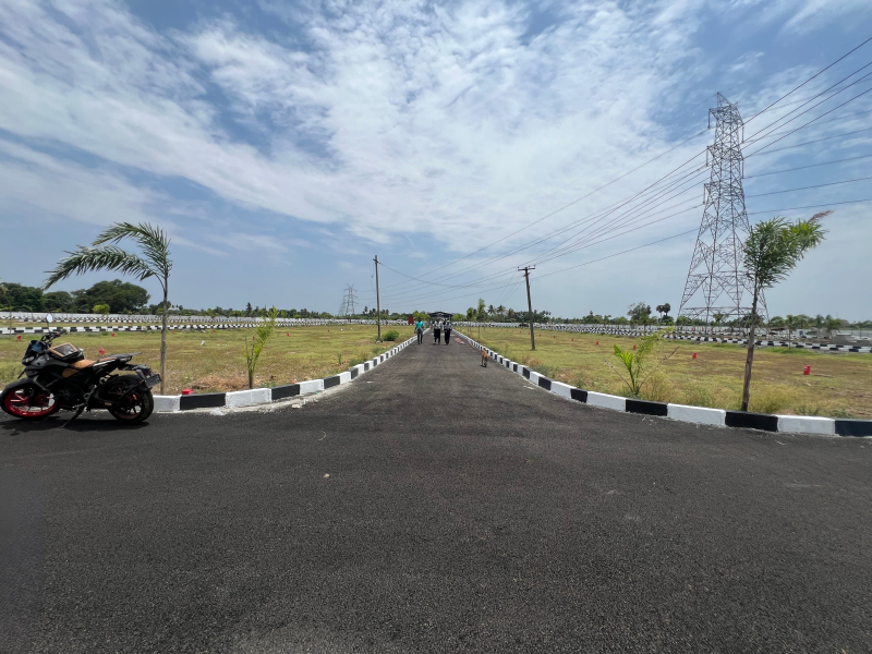 View 1