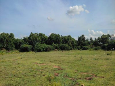 Shree Nagar