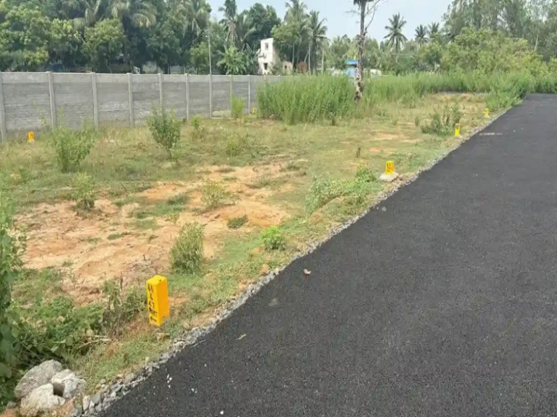View 1