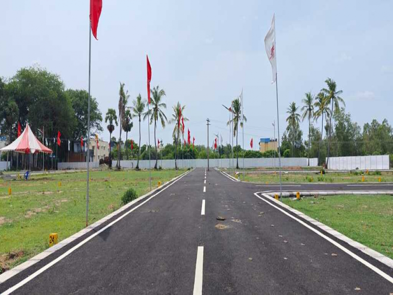 View 1